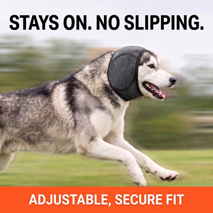 Dog Ear Wrap 2.0 | Calming & Noise-Reducing Ear Muff